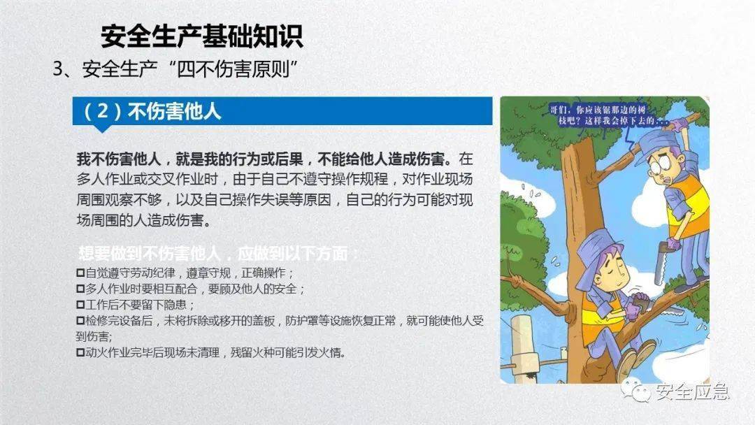 2023年安全培训必备10部警示片及新员工三级安全培训课件