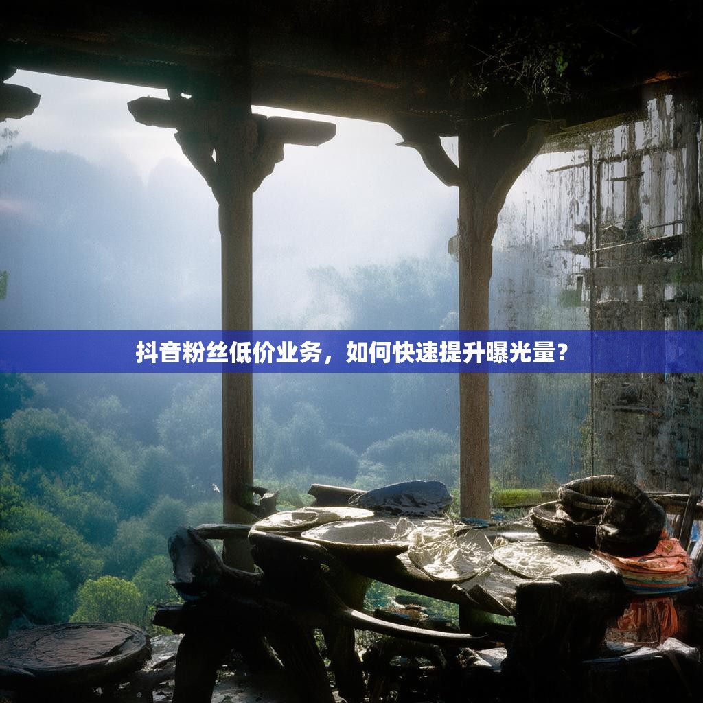 抖音粉丝低价业务，如何快速提升曝光量？