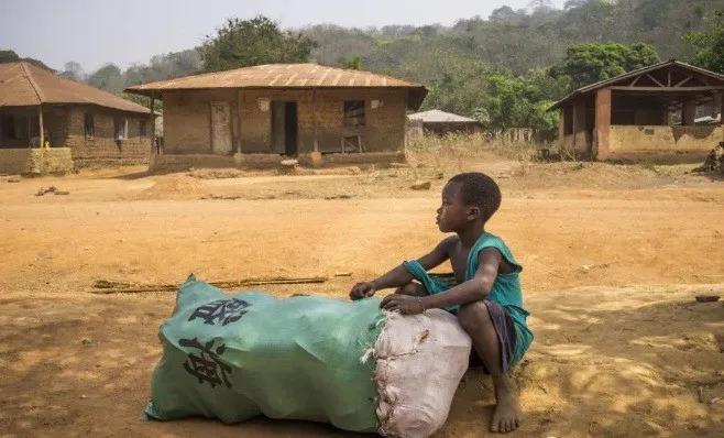 疫情冲击下全球粮食危机加剧,哪些地方最缺粮?后果如何?