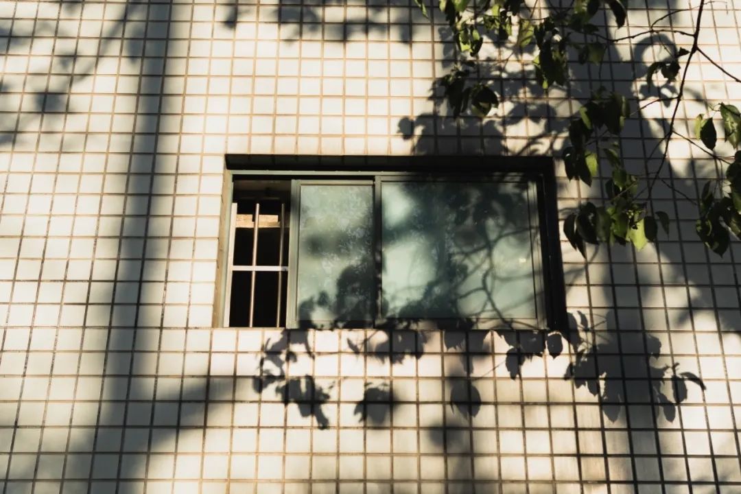 开学季!那些年,我们在大学宿舍经历的奇妙群居生活