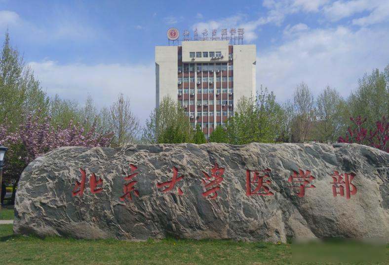 警惕!这些假大学毕业证骗局,专坑高考落榜生和家长