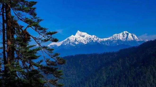 高考地理山地垂直带谱考点:基带、带谱复杂度等核心知识