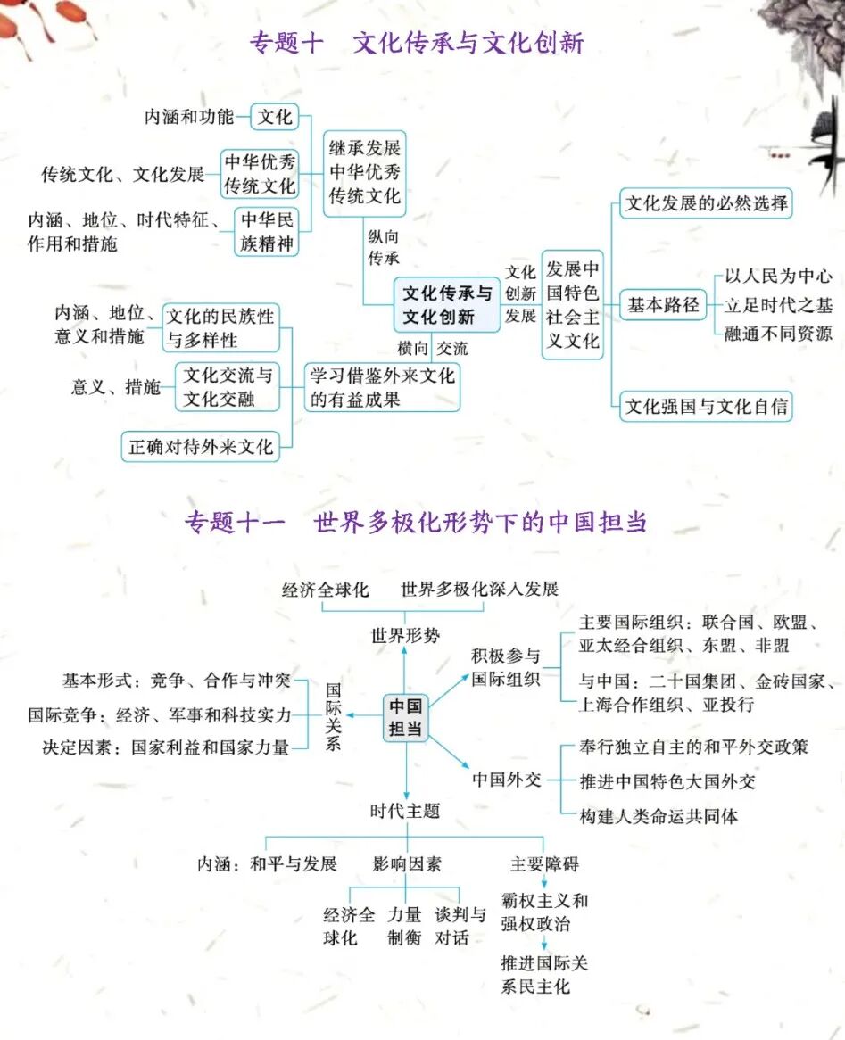 2024年高考政治二轮复习指导:四个专题化复习要点