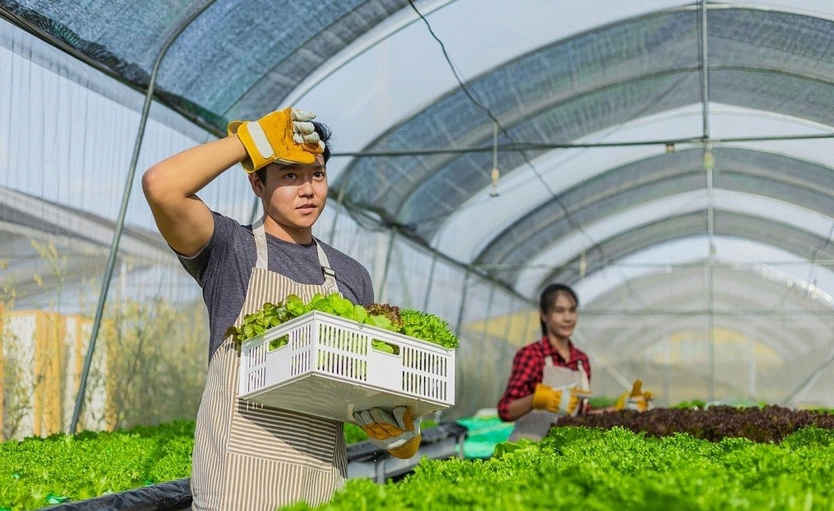 2026年快递新规:不打招呼放驿站最高罚3万,你的选择权回来了