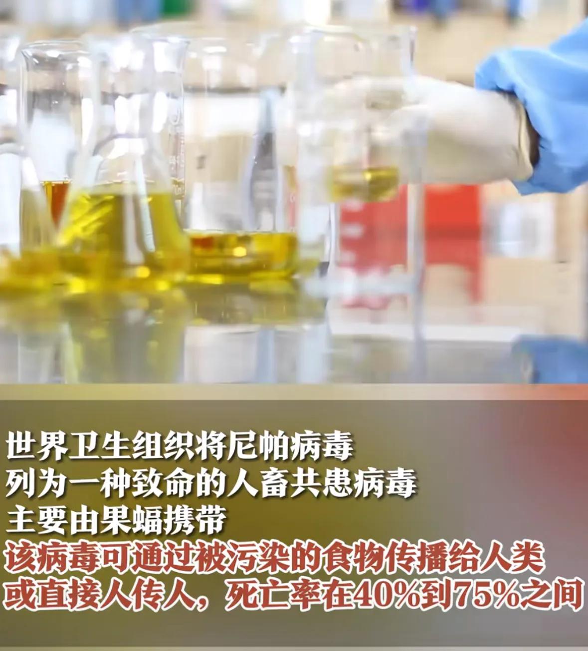 印度尼帕疫情爆发!致死率最高75% 出行必看