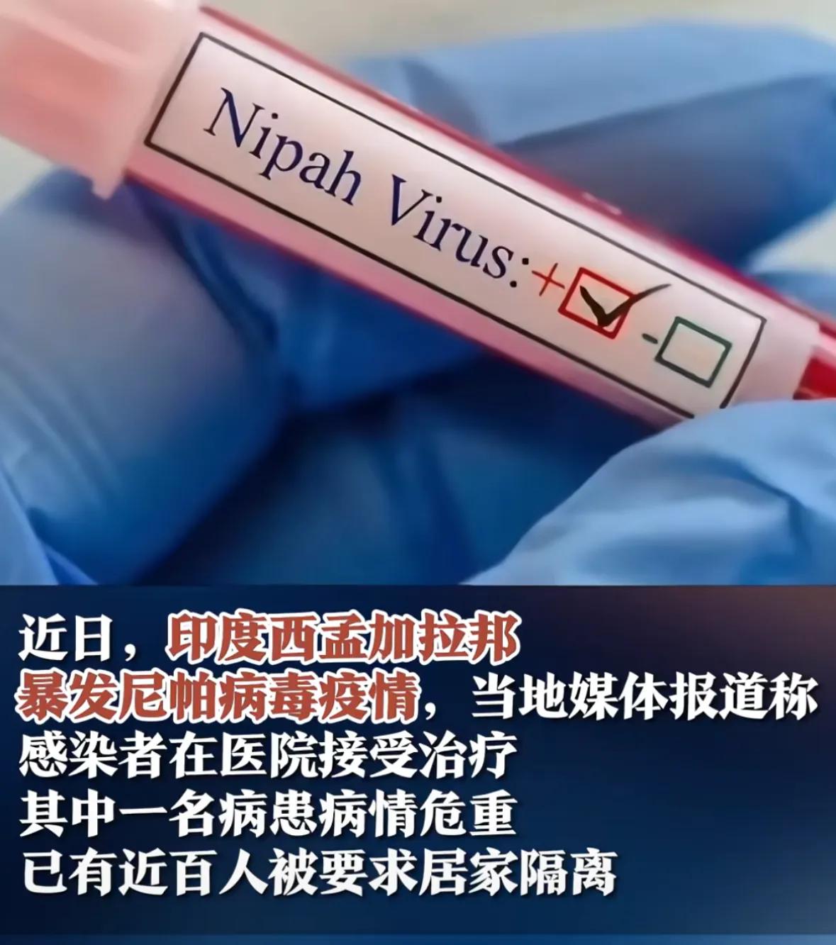 印度尼帕疫情爆发!致死率最高75% 出行必看